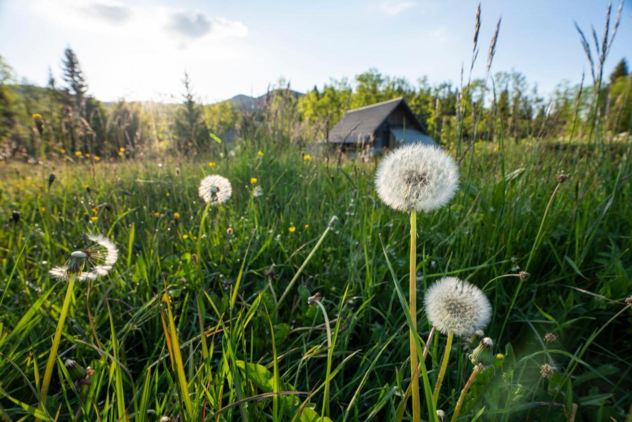 Holiday Home Srednja Vas Srednja Vas v Bohinju المظهر الخارجي الصورة