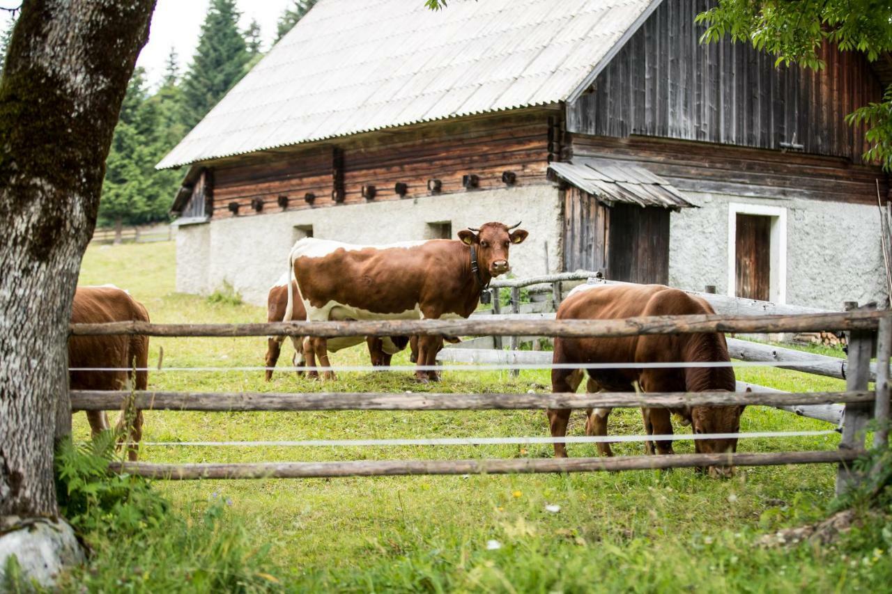 Holiday Home Srednja Vas Srednja Vas v Bohinju المظهر الخارجي الصورة
